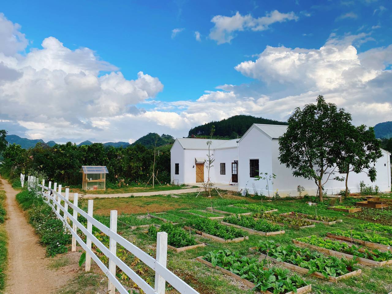 9X tự tay biến nhà kho, nơi nuôi heo cũ thành homestay: Hình ảnh trước và sau cải tạo &quot;lột xác&quot; đến khó tin - Ảnh 1.