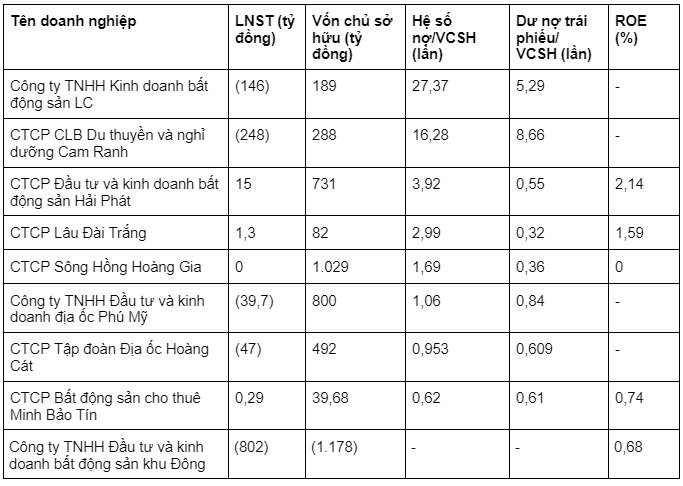 Loạt doanh nghiệp bất động sản chưa niêm yết công bố thông tin tài chính, một công ty có hệ số nợ/vốn chủ sở hữu gấp 27 lần - Ảnh 1.