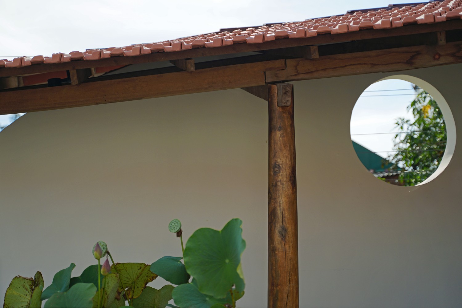 Kì lạ ngôi nhà nhìn như dải lụa trong gió - Ảnh 13.