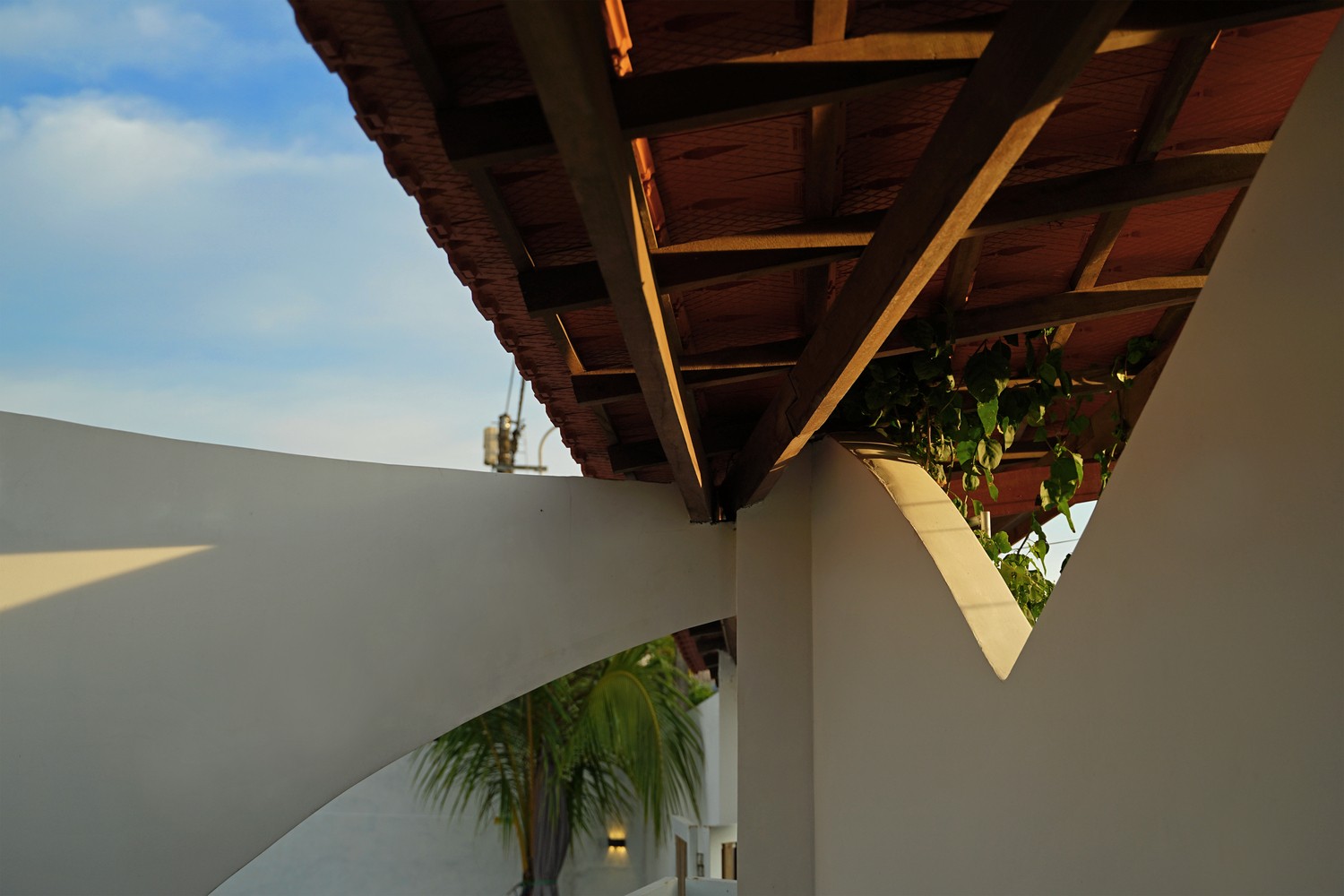 Kì lạ ngôi nhà nhìn như dải lụa trong gió - Ảnh 14.