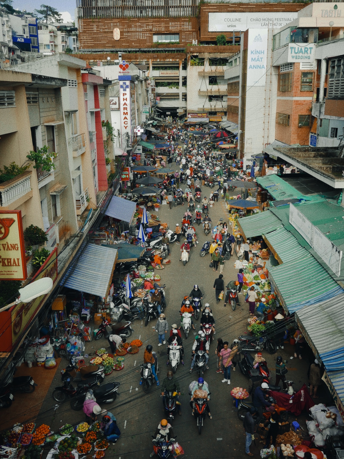 Những điểm check-in đẹp nhất khi đến Đà Lạt mùa xuân - Ảnh 8.