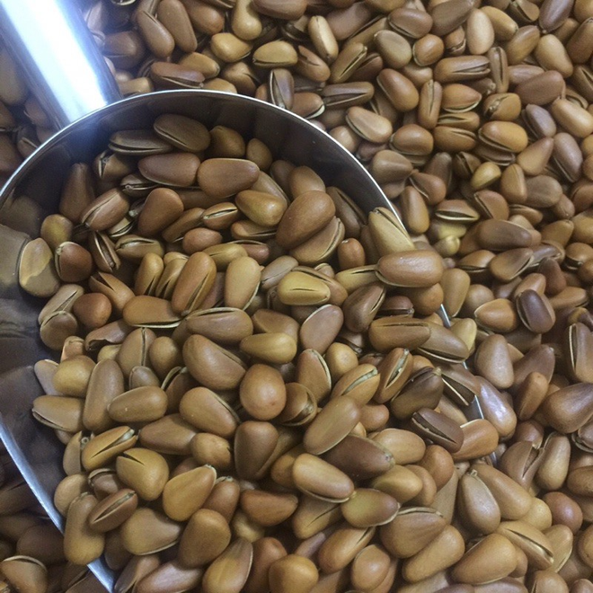 Loại hạt ở Việt Nam xưa rụng đầy gốc không ai lấy, nay lại thành đặc sản đắt đỏ cả nửa triệu/kg - Ảnh 7.