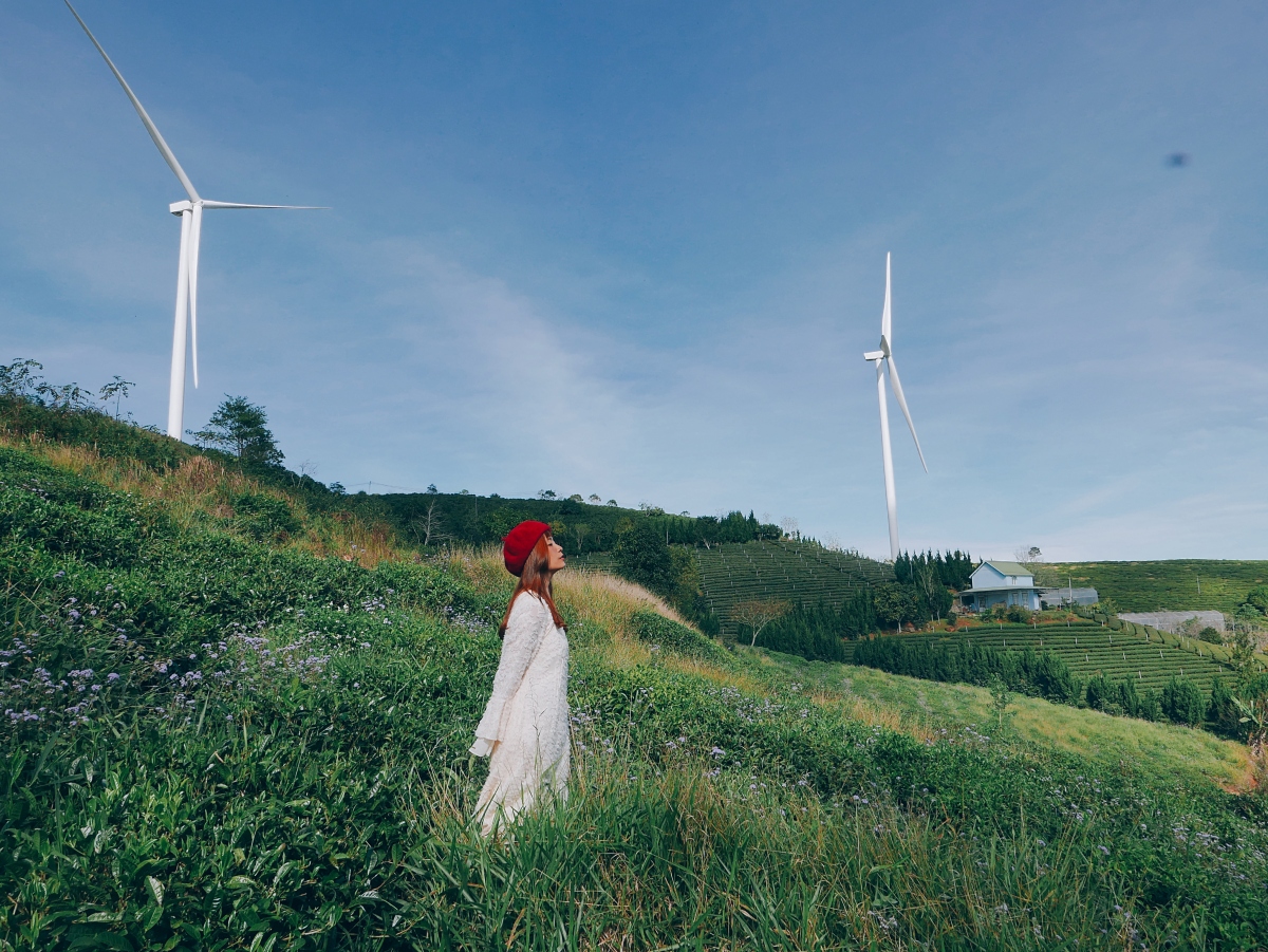 Những điểm check-in đẹp nhất khi đến Đà Lạt mùa xuân - Ảnh 6.