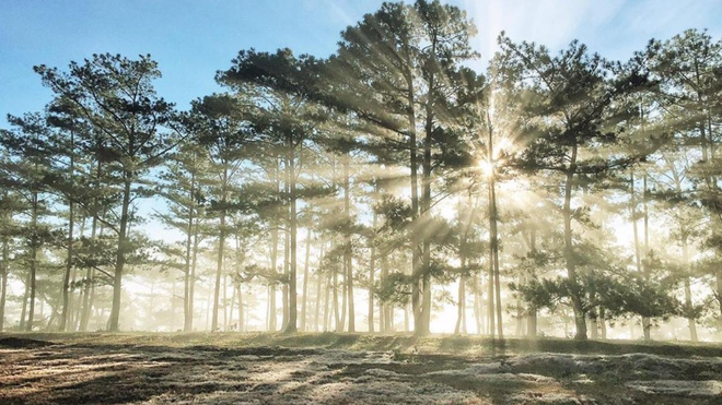 Loại hạt ở Việt Nam xưa rụng đầy gốc không ai lấy, nay lại thành đặc sản đắt đỏ cả nửa triệu/kg - Ảnh 3.