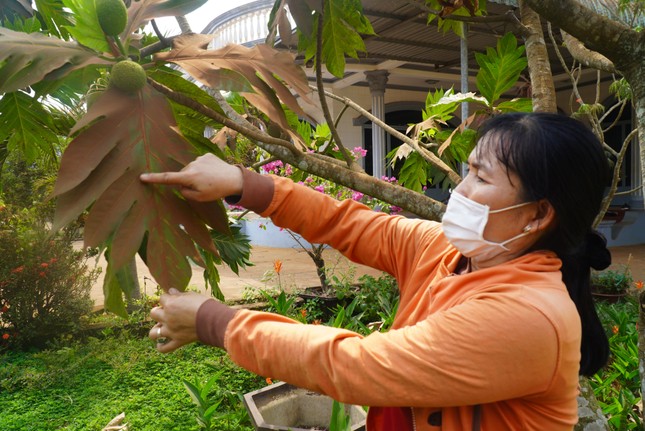 Thi công sân bay Long Thành bụi 'nhuộm đỏ' từ công trình đến khu dân cư - Ảnh 4.