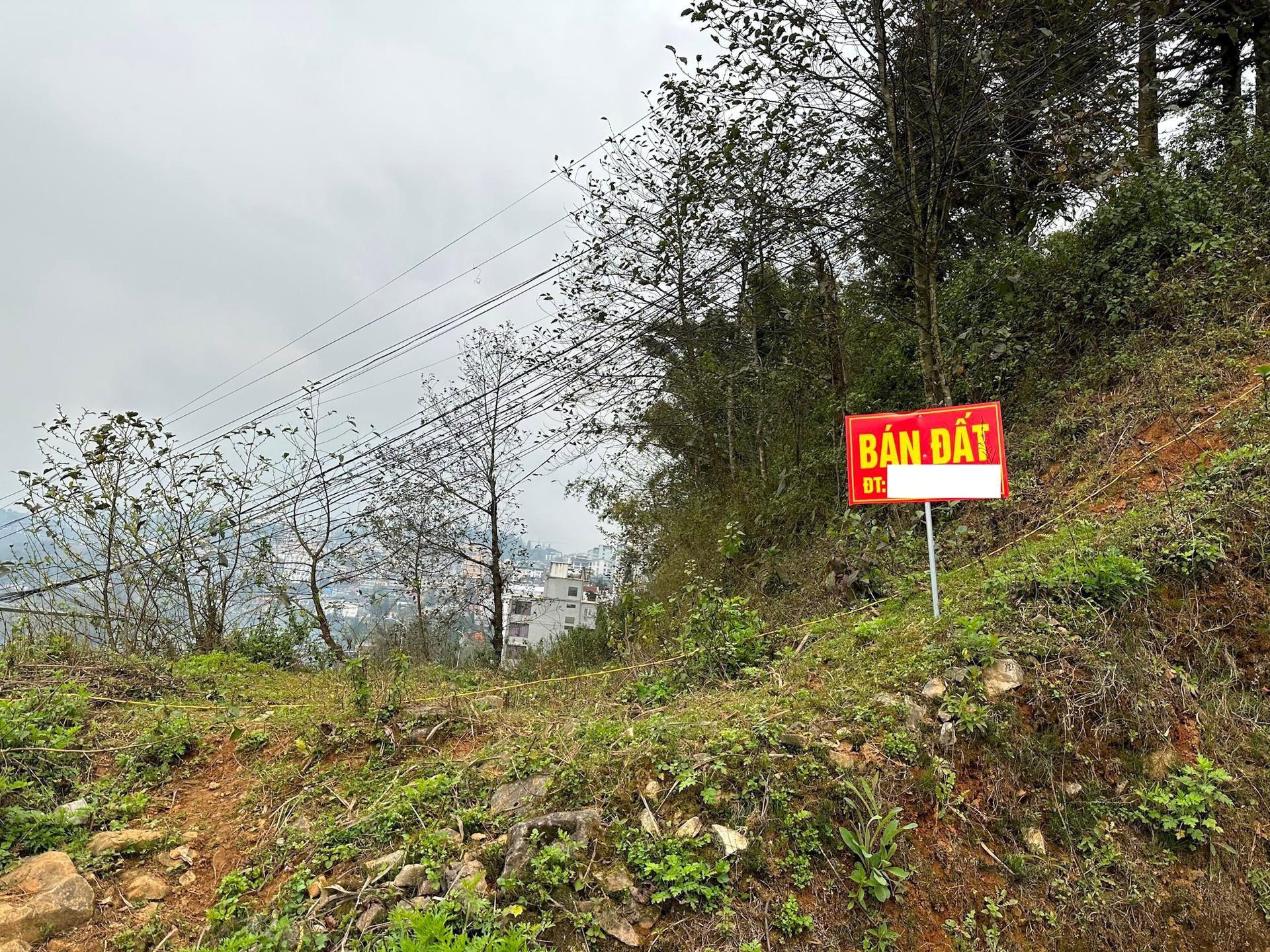 Giá bất động sản tại trung tâm một thị trấn miền núi ngang ngửa với Hà Nội, cầm 20 tỷ đồng cũng khó mua - Ảnh 3. Giá bất động sản tại trung tâm một thị trấn miền núi ngang ngửa với Hà Nội, cầm 20 tỷ đồng cũng khó mua - Ảnh 3.