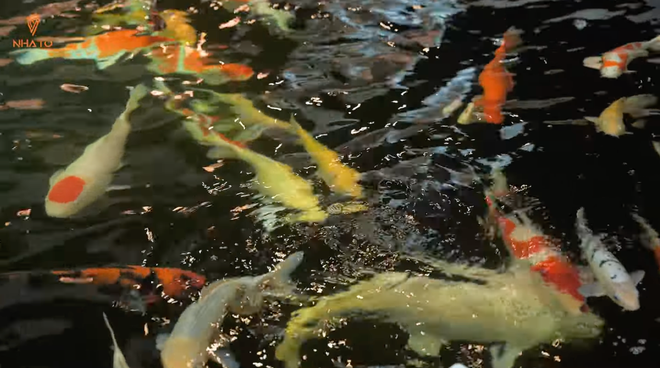 Căn siêu biệt thự trên mảnh đất 700m2 ở Đà Nẵng: Đèn chùm bằng pha lê mạ vàng 24k nặng vài tấn, phòng ngủ cho con trai 3 tuổi rộng gần 80m2 - Ảnh 6. Căn siêu biệt thự trên mảnh đất 700m2 ở Đà Nẵng: Đèn chùm bằng pha lê mạ vàng 24k nặng vài tấn, phòng ngủ cho con trai 3 tuổi rộng gần 80m2 - Ảnh 6.