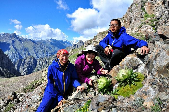 Nhìn chẳng khác nào bắp cải bán đầy ngoài chợ, loại hoa đặc biệt được giới nhà giàu Việt chi cả trăm triệu mua về hãm trà uống - Ảnh 2.