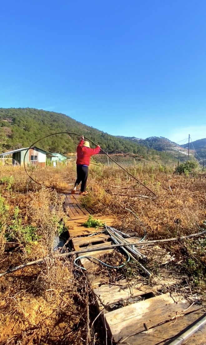  Cô gái bỏ phố lên Đà Lạt chữa lành: Chưa kịp làm gì thì tiêu gần 100 triệu, mượn tiền thuê đất trồng rau duy trì cuộc sống - Ảnh 11.