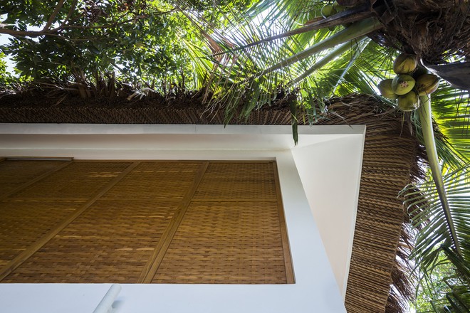 Biệt thự mái lá ở miền Tây được báo Tây hết lời khen ngợi - Ảnh 7. Biệt thự mái lá ở miền Tây được báo Tây hết lời khen ngợi - Ảnh 7.