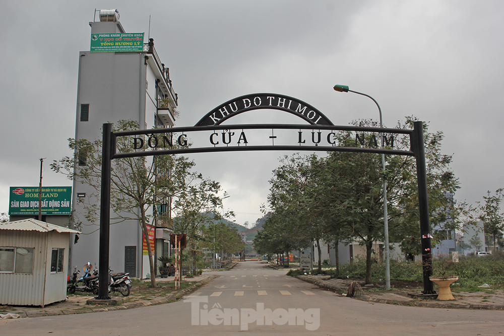 Sau phân lô bán nền, loạt khu đô thị kiểu mẫu thành nơi thả bò, trồng rau - Ảnh 16.