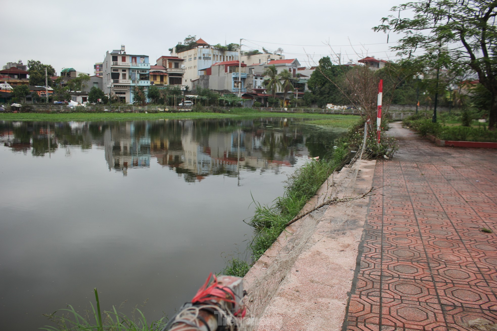 Sau phân lô bán nền, loạt khu đô thị kiểu mẫu thành nơi thả bò, trồng rau - Ảnh 25.