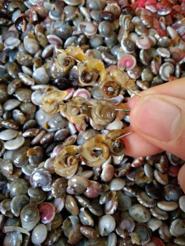 Món ốc kỳ lạ ở Việt Nam khiến thực khách mỏi tay hoa mắt nhưng vẫn thích mê - Ảnh 20.