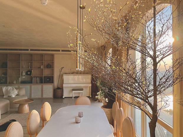 Nữ họa sĩ tự tay thiết kế căn hộ 120m2 đắt giá: Mang cây xanh vào trong từng góc nhỏ, vừa nấu ăn vừa “ngắm trọn” sông Hồng - Ảnh 4.