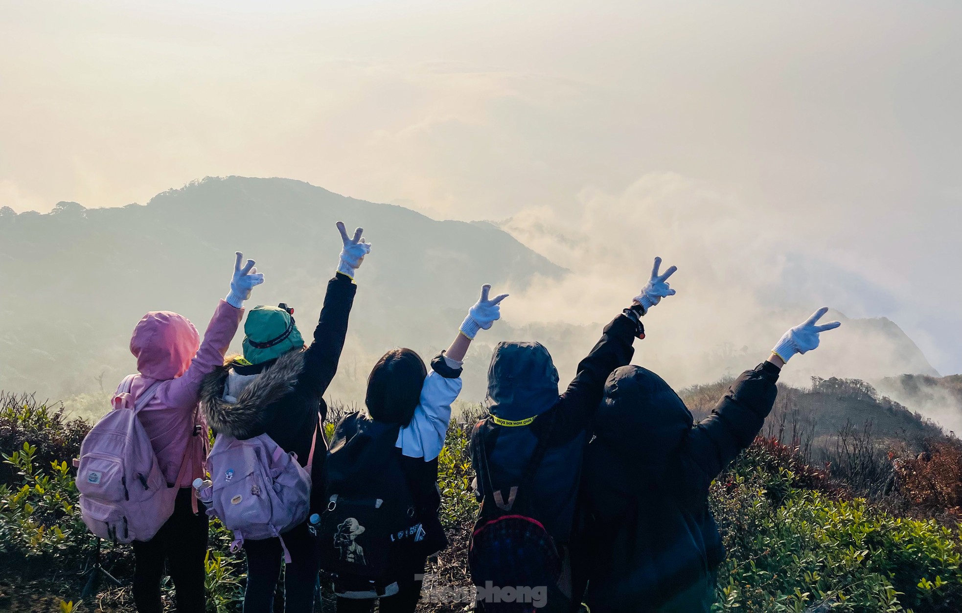 Săn mây giữa khung cảnh thần tiên trên đỉnh núi Lảo Thẩn - Y Tý - Ảnh 4.