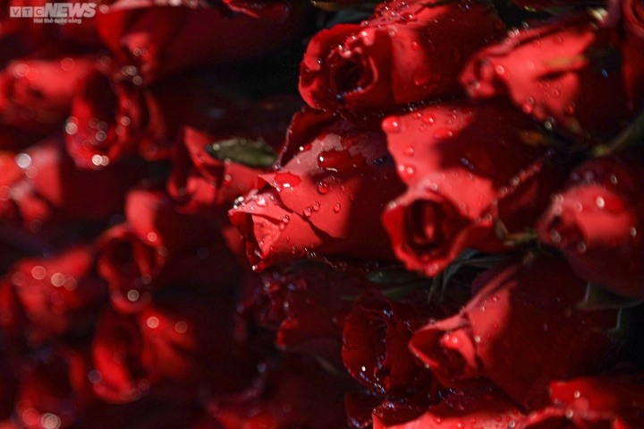 Giá hoa 8/3 tăng phi mã - Ảnh 6.