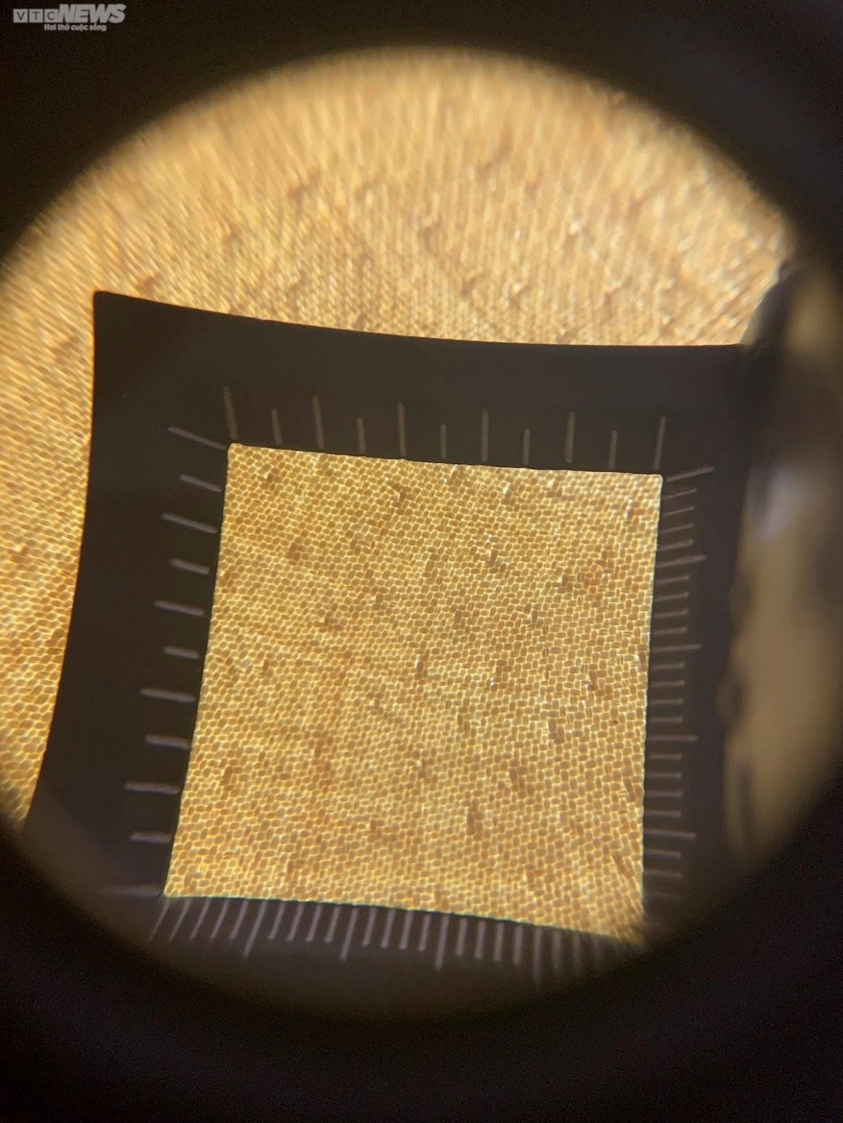 Đại gia Việt sở hữu chiếc mũ cói giá 3,5 tỷ đồng - Ảnh 4.