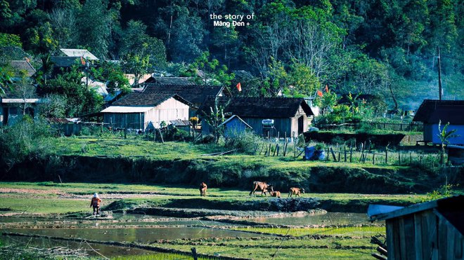 Ghé thăm các khu du lịch cộng đồng, khám phá nét đẹp văn hóa đặc trưng ở mỗi vùng miền Việt Nam - Ảnh 35.