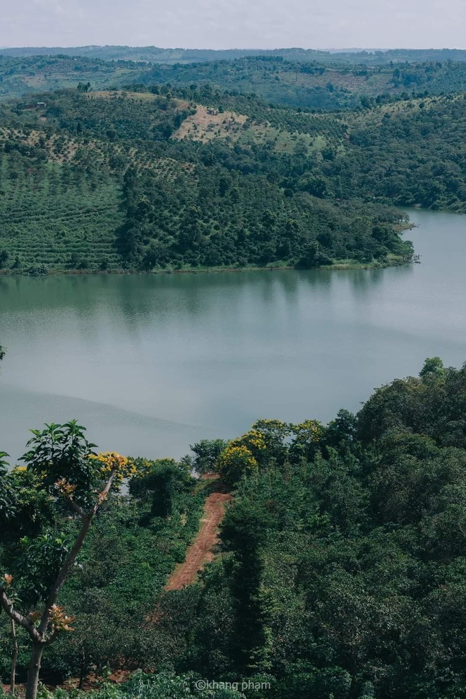 Ngoài khung cảnh đẹp không kém gì Đà Lạt, Bảo Lộc còn có đủ món ngon - Ảnh 5. Ngoài khung cảnh đẹp không kém gì Đà Lạt, Bảo Lộc còn có đủ món ngon - Ảnh 5.
