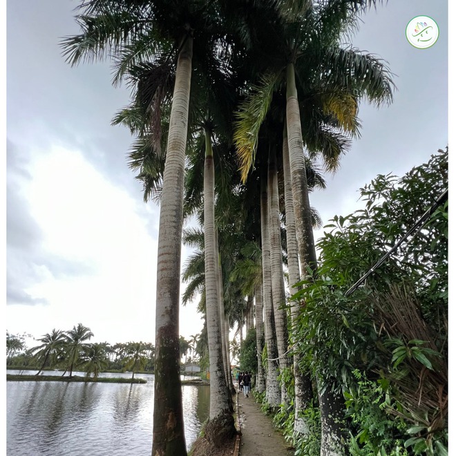 Ghé thăm các khu du lịch cộng đồng, khám phá nét đẹp văn hóa đặc trưng ở mỗi vùng miền Việt Nam - Ảnh 3.