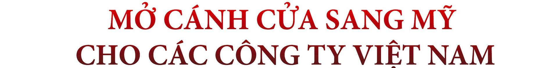Bản cáo bạch 100 trang đầy kỹ thuật của VinFast và chuyện “Hai ông SAM” muốn mở đường cho công ty Việt niêm yết trên đất Mỹ - Ảnh 7. Bản cáo bạch 100 trang đầy kỹ thuật của VinFast và chuyện “Hai ông SAM” muốn mở đường cho công ty Việt niêm yết trên đất Mỹ - Ảnh 7.