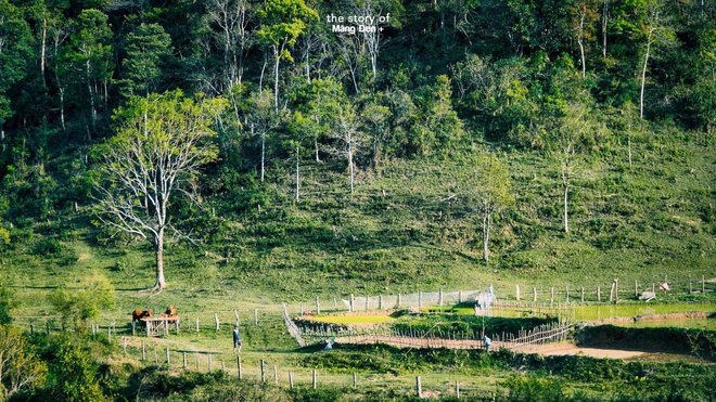 Ghé thăm các khu du lịch cộng đồng, khám phá nét đẹp văn hóa đặc trưng ở mỗi vùng miền Việt Nam - Ảnh 36.