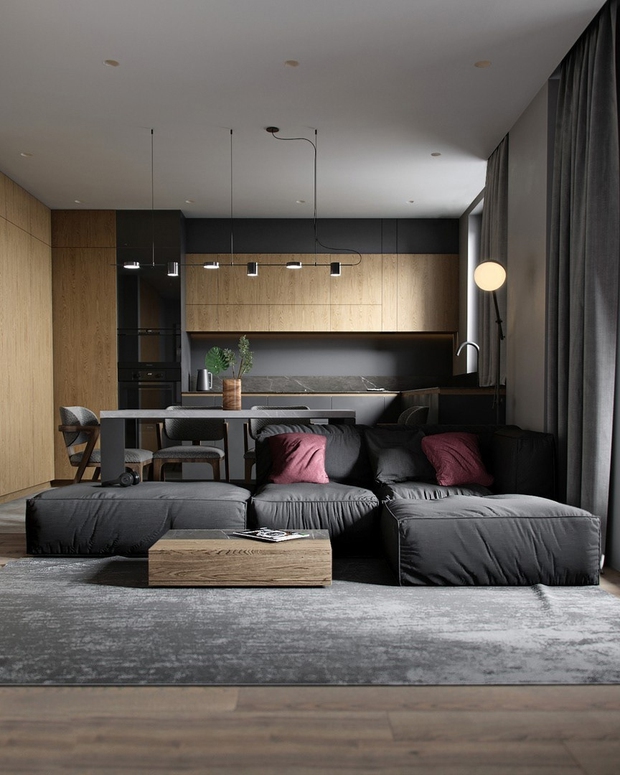 Thiết kế nhà tập thể 50m² ấn tượng với gam màu đen và gỗ - Ảnh 3.