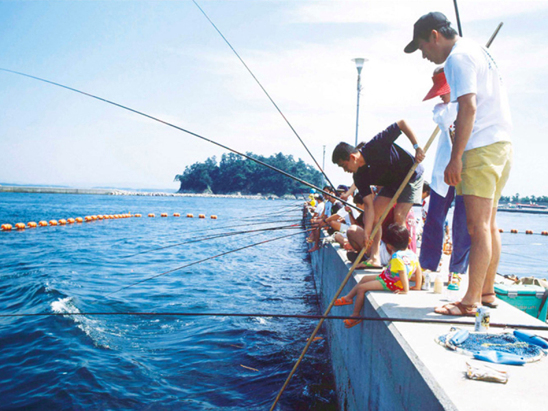 Vượt sóng tới 3 hòn đảo thanh bình tuyệt đẹp ở Aichi: Chốn dừng chân chữa lành thân - tâm - trí  - Ảnh 9.