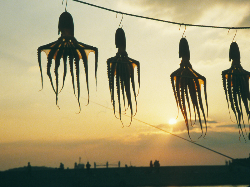 Vượt sóng tới 3 hòn đảo thanh bình tuyệt đẹp ở Aichi: Chốn dừng chân chữa lành thân - tâm - trí  - Ảnh 5.