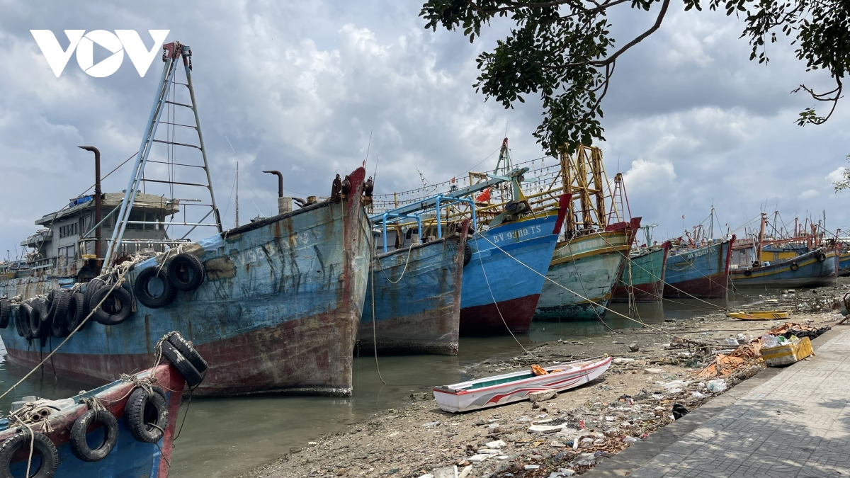 Đánh bắt thua lỗ nhiều ngư dân ở Bà Rịa – Vũng Tàu rao bán tàu - Ảnh 1.