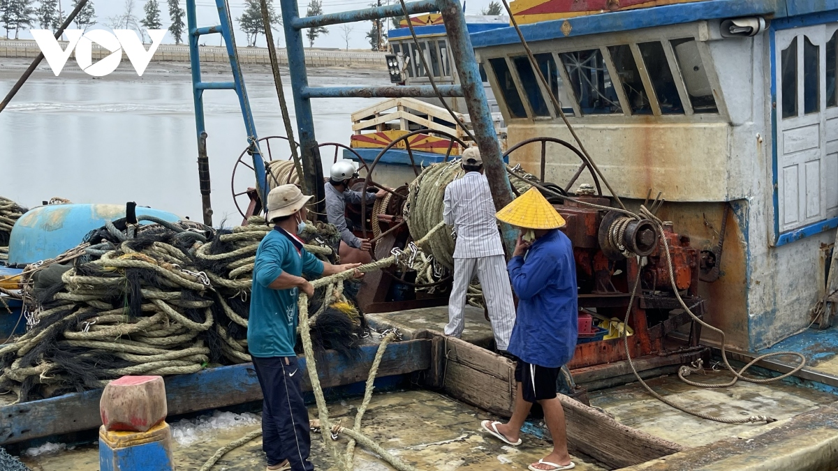 Đánh bắt thua lỗ nhiều ngư dân ở Bà Rịa – Vũng Tàu rao bán tàu - Ảnh 3.