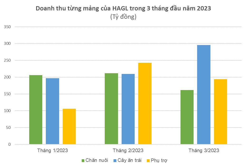 Giá chuối cao nhất năm &quot;đỡ&quot; cho giá heo, Hoàng Anh Gia Lai vẫn lãi trăm tỷ trong tháng 3, mỗi ngày thu 10 tỷ từ bán chuối - Ảnh 1.