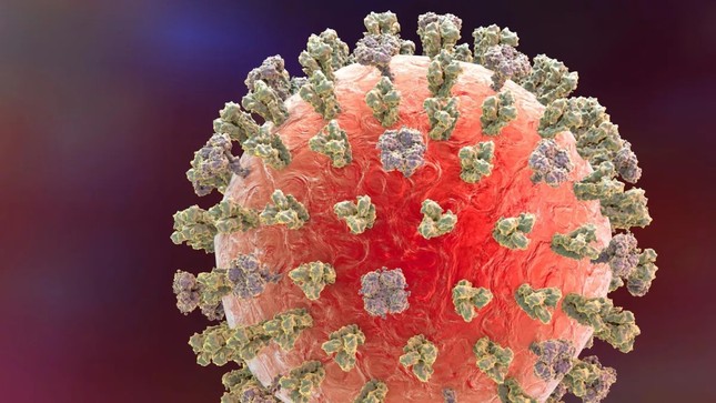 Ca tử vong đầu tiên trên thế giới vì cúm H3N8 được ghi nhận ở Trung Quốc - Ảnh 1.