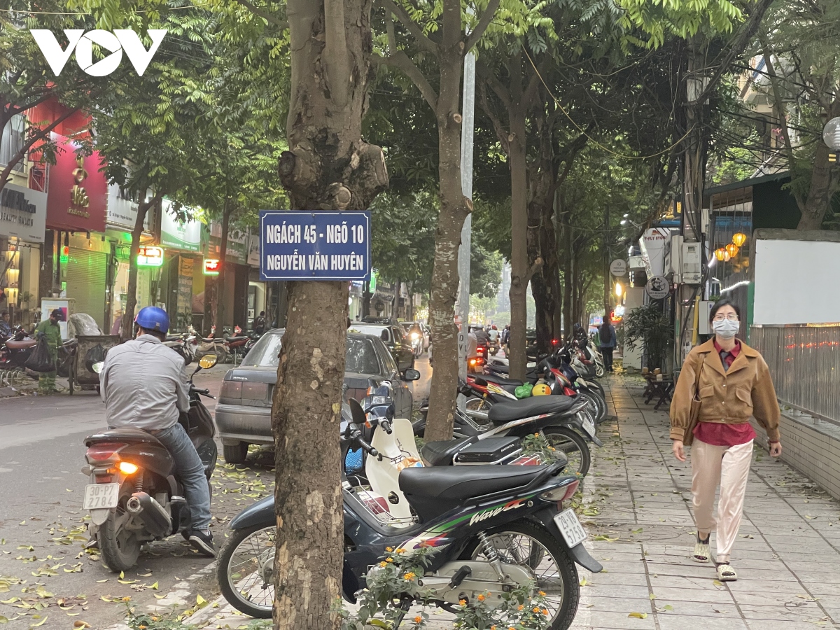 Hàng loạt cây xanh ở Hà Nội bị đóng đinh đang “kêu cứu” - Ảnh 8.