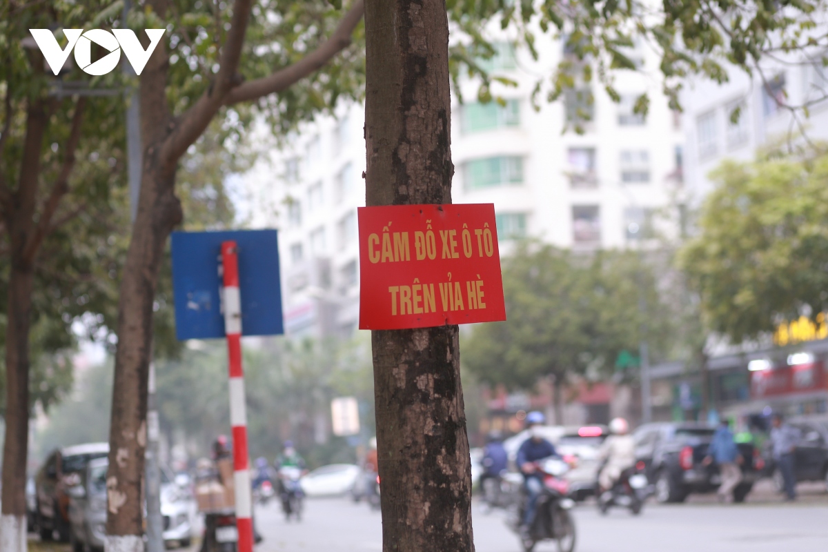 Hàng loạt cây xanh ở Hà Nội bị đóng đinh đang “kêu cứu” - Ảnh 11.