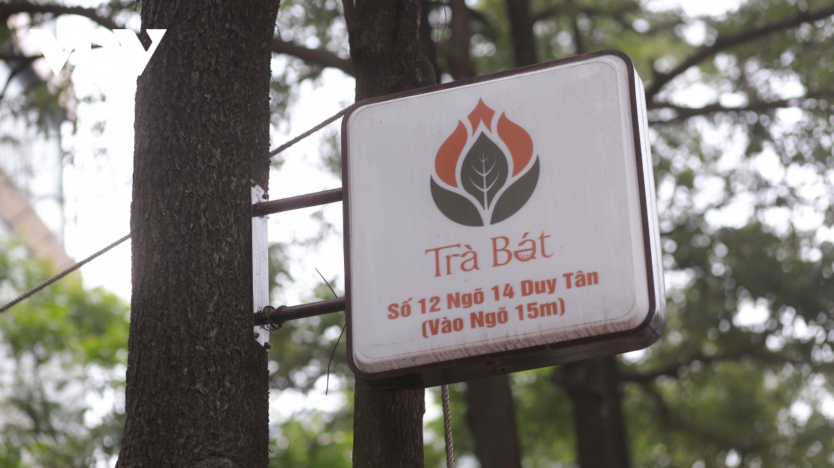 Hàng loạt cây xanh ở Hà Nội bị đóng đinh đang “kêu cứu” - Ảnh 13.