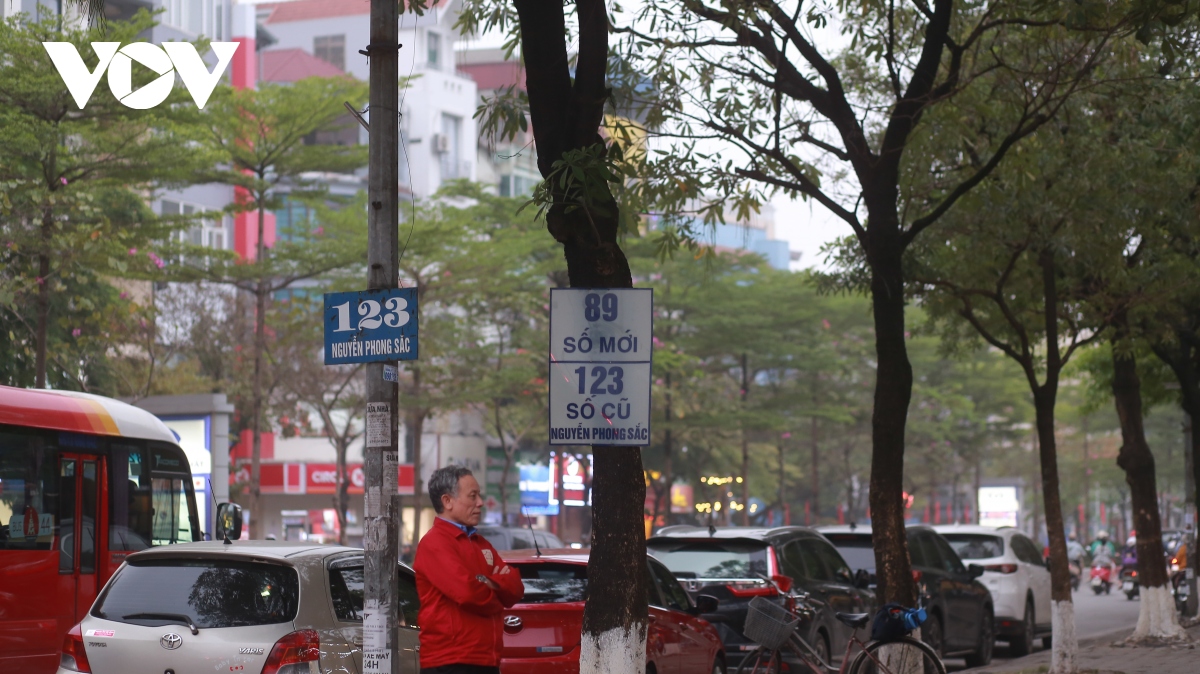 Hàng loạt cây xanh ở Hà Nội bị đóng đinh đang “kêu cứu” - Ảnh 5.