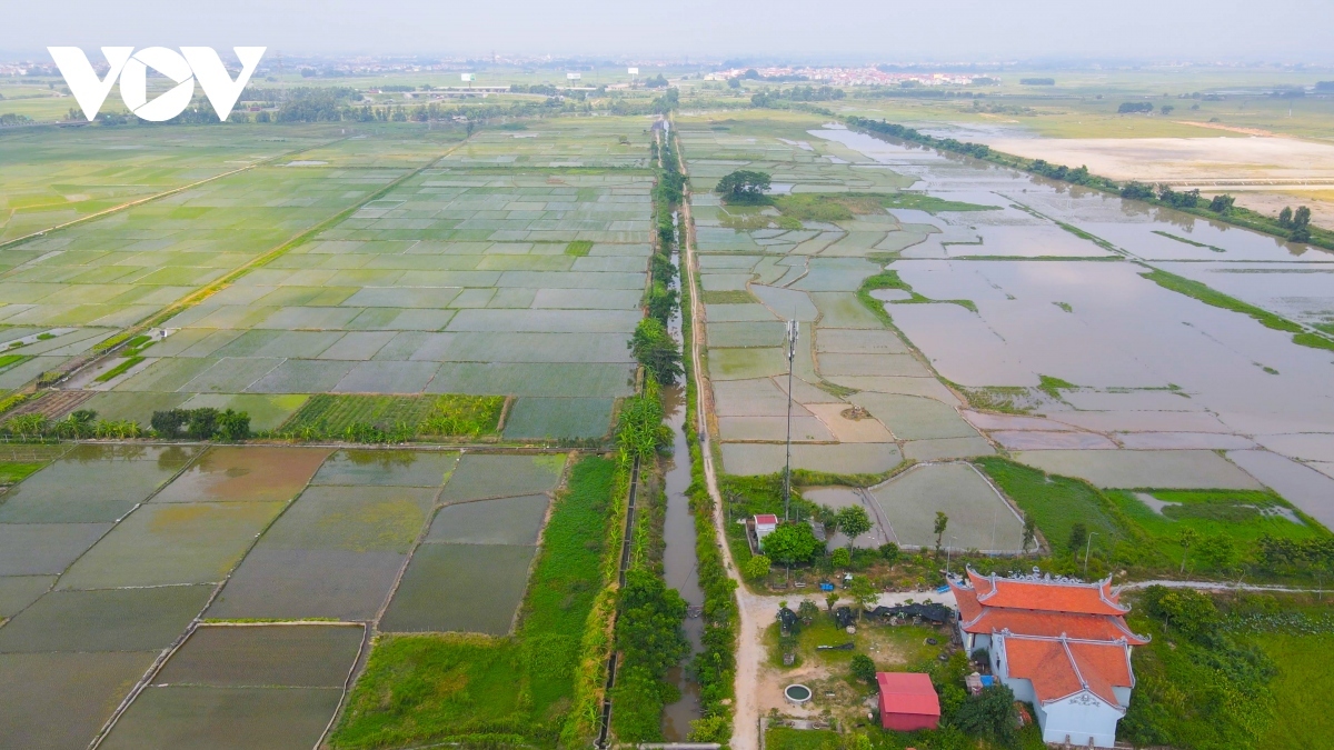 Người dân Yên Phong mong mỏi làm rõ trình tự thu hồi đất dự án KCN Vsip 2 Bắc Ninh - Ảnh 2.