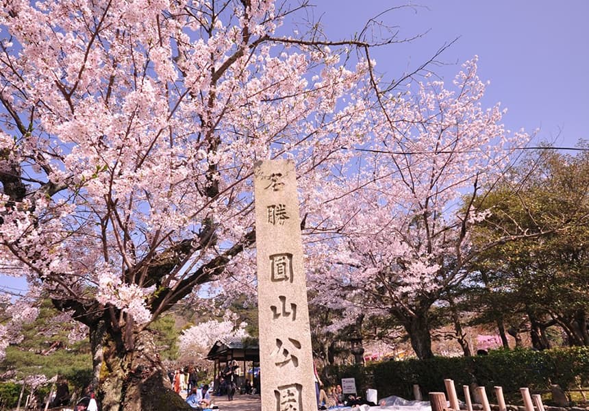 Hoa anh đào còn nở đến tận tháng 5, lưu ngay lịch trình du lịch Nhật Bản để không bỏ lỡ mùa đẹp nhất xứ Phù Tang - Ảnh 3.