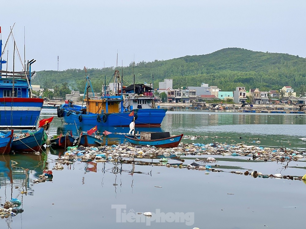 Xác tàu, rác thải ‘bủa vây’ cảng cá Sa Huỳnh - Ảnh 21.