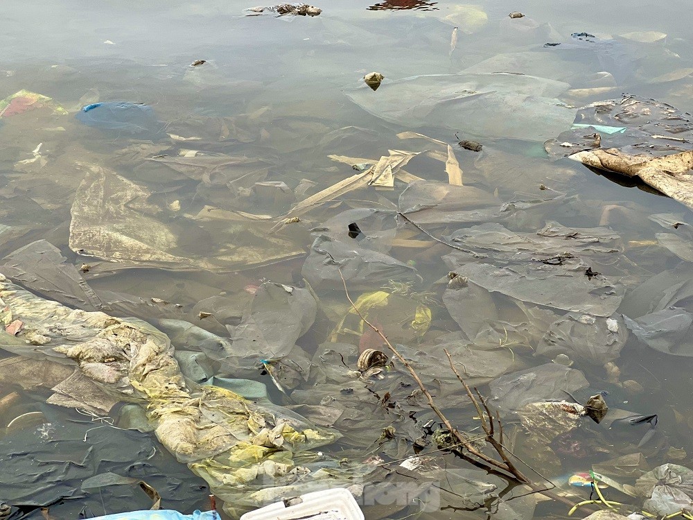 Xác tàu, rác thải ‘bủa vây’ cảng cá Sa Huỳnh - Ảnh 23.