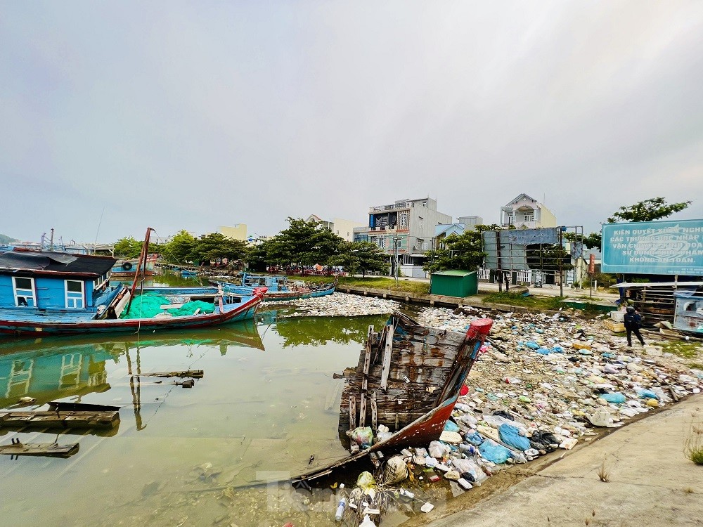 Xác tàu, rác thải ‘bủa vây’ cảng cá Sa Huỳnh - Ảnh 5.