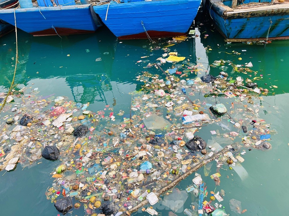 Xác tàu, rác thải ‘bủa vây’ cảng cá Sa Huỳnh - Ảnh 18.