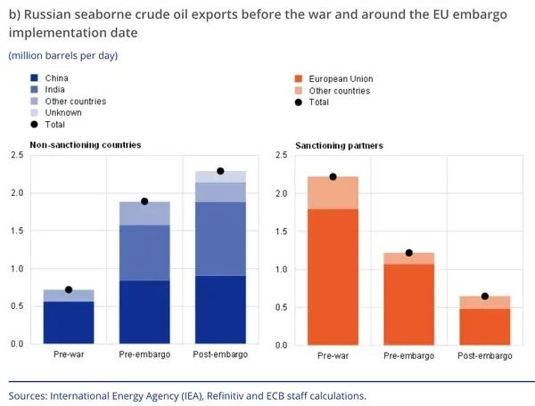 Xuất khẩu dầu thô của Nga tăng vọt - mặc EU trừng phạt, 2 'bạn hàng thân thiện' cân tất? - Ảnh 2.