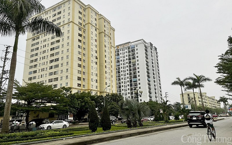 Nghệ An: Giá bán căn hộ chung cư dự báo sẽ tiếp tục tăng - Ảnh 1.