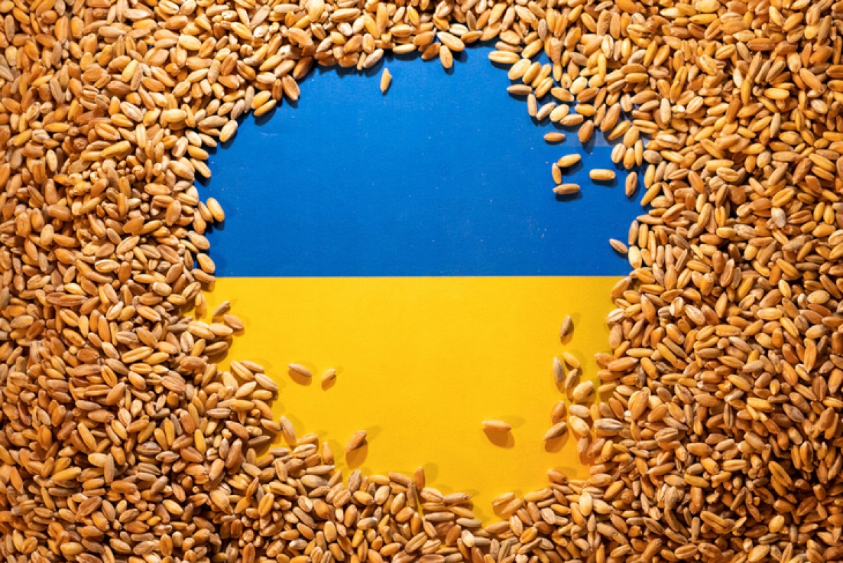 EU phản đối các lệnh cấm ngũ cốc Ukraine của Ba Lan và Hungary - Ảnh 1.