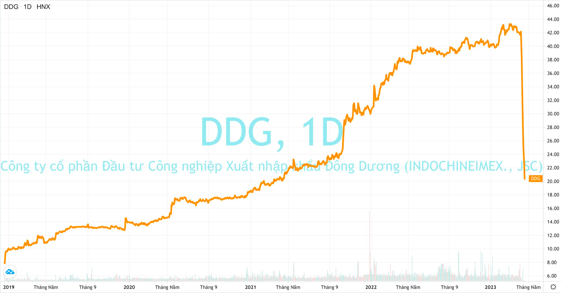 Cổ phiếu DDG chia đôi, vốn hoá “bốc hơi” 1.300 tỷ sau vài phiên, doanh nghiệp nói gì? - Ảnh 2.