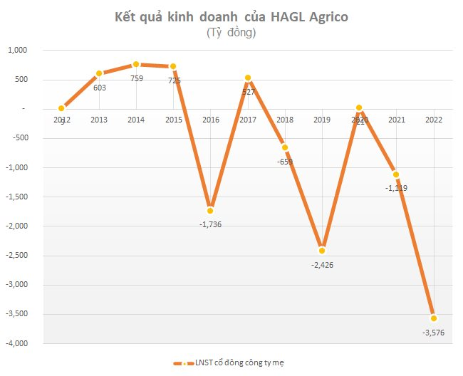 HAGL Agrico (HNG): Mảng trái cây lỗ gộp hơn 900 tỷ đồng, còn nợ HAGL khoảng 1.500 tỷ đồng - Ảnh 1.