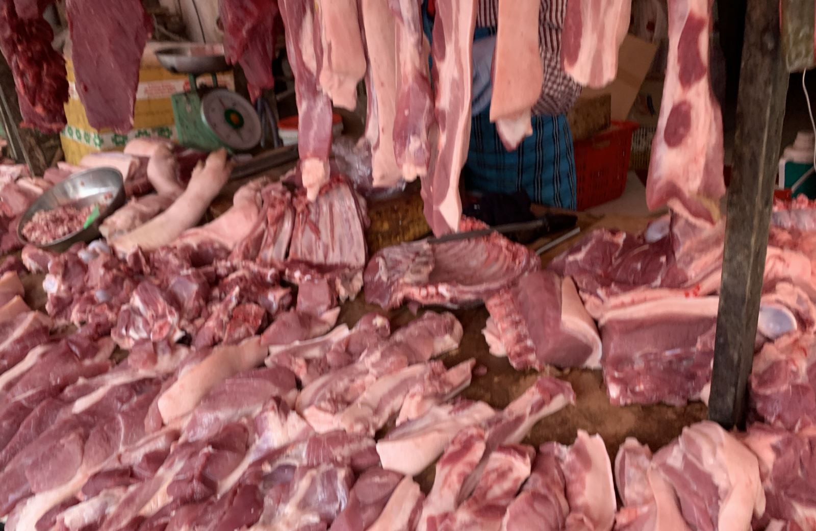 Giá lợn hơi tăng lên mức 55.000 đồng/kg ở các tỉnh phía Nam - Ảnh 2.