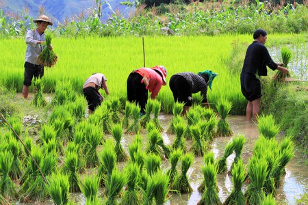 Khách Tây thích thú viết cẩm nang du lịch Việt Nam: Người Việt thực sự rất lạc quan! - Ảnh 5.